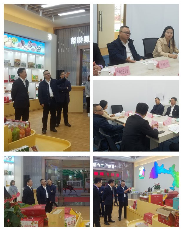 rb88随行版-rb88手机随行版登录入口