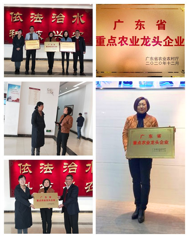 rb88随行版-rb88手机随行版登录入口