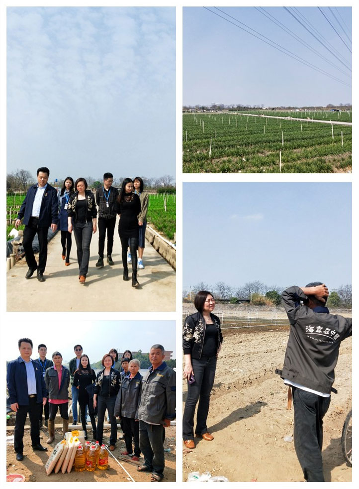 rb88随行版-rb88手机随行版登录入口