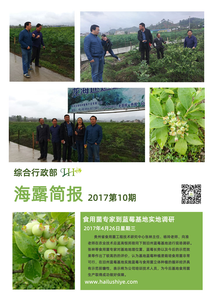 rb88随行版-rb88手机随行版登录入口