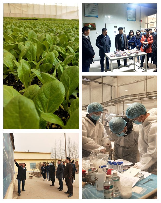 rb88随行版-rb88手机随行版登录入口