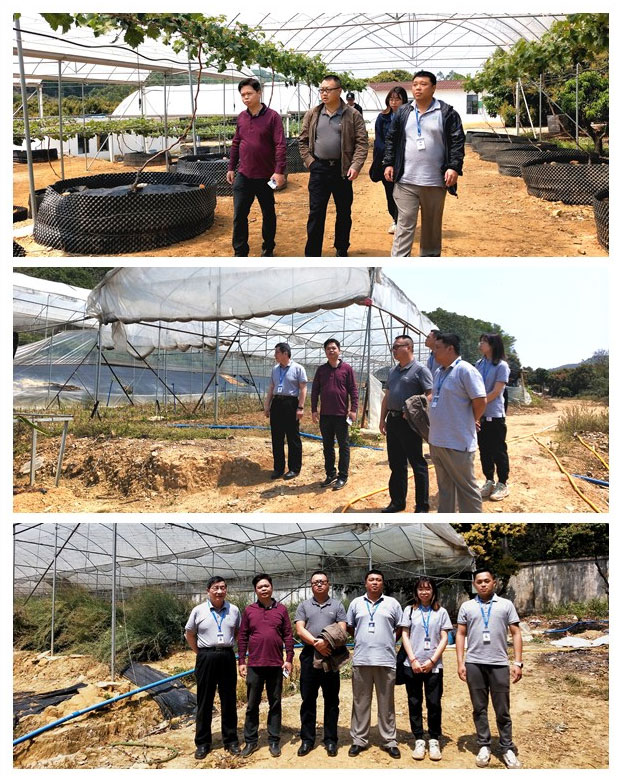 rb88随行版-rb88手机随行版登录入口