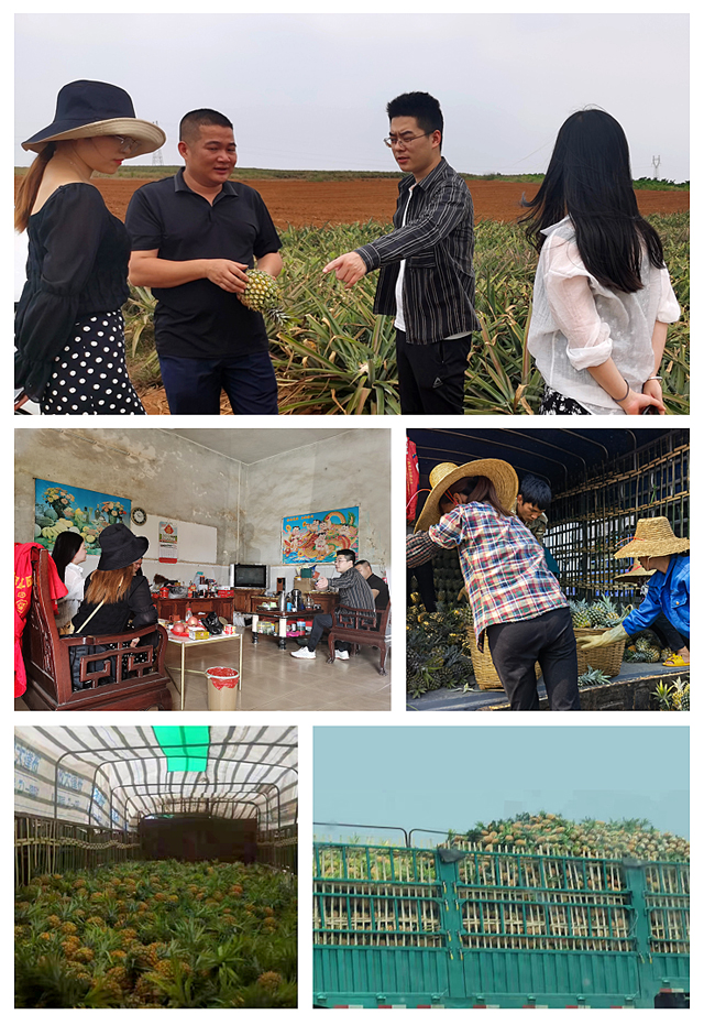 rb88随行版-rb88手机随行版登录入口