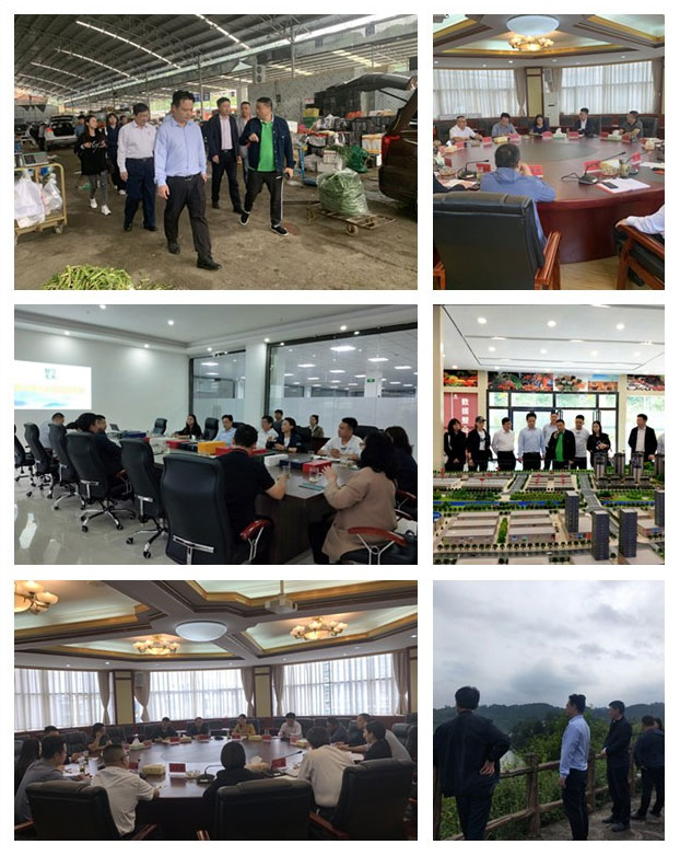 rb88随行版-rb88手机随行版登录入口