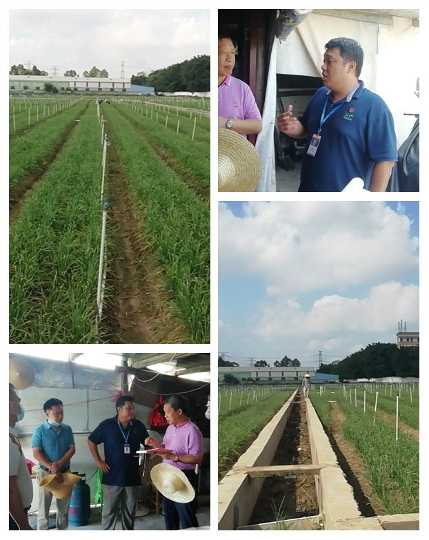 rb88随行版-rb88手机随行版登录入口