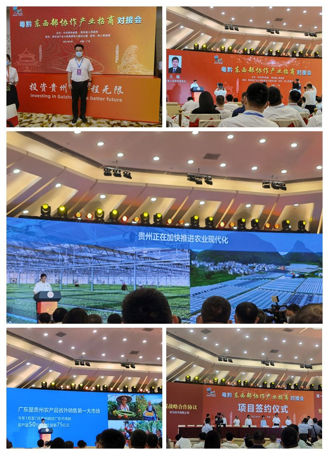 rb88随行版-rb88手机随行版登录入口