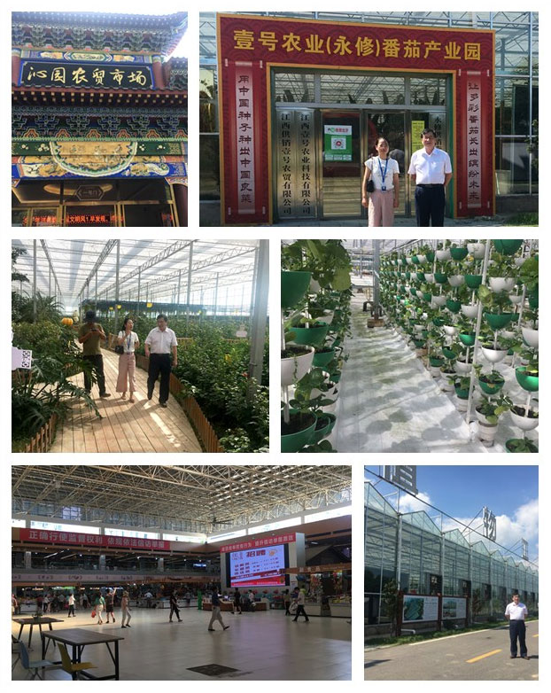 rb88随行版-rb88手机随行版登录入口