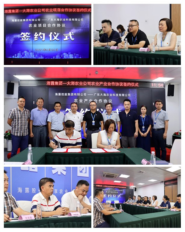 rb88随行版-rb88手机随行版登录入口