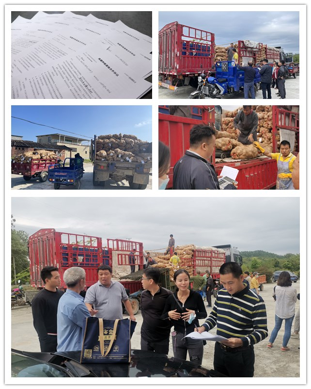 rb88随行版-rb88手机随行版登录入口