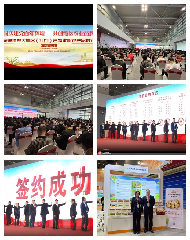 rb88随行版-rb88手机随行版登录入口