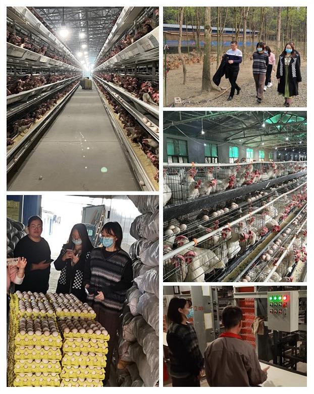 rb88随行版-rb88手机随行版登录入口