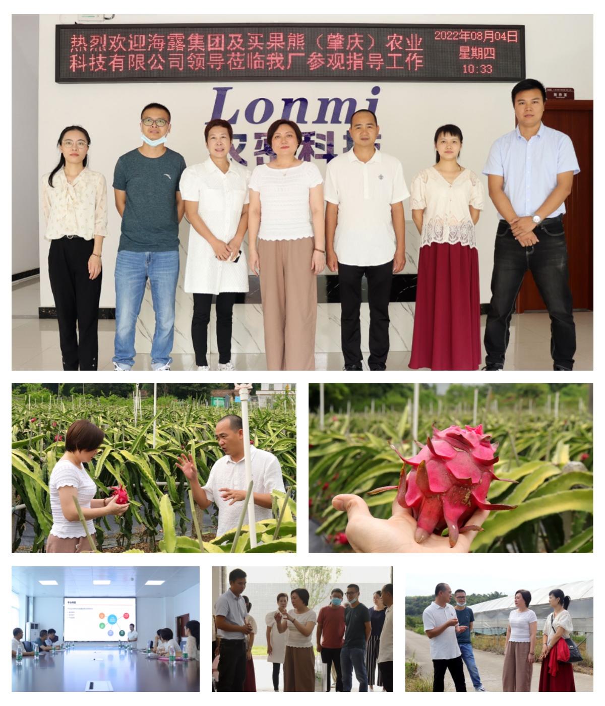 rb88随行版-rb88手机随行版登录入口