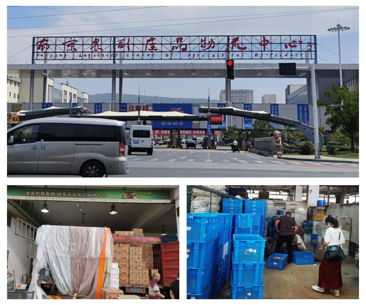 rb88随行版-rb88手机随行版登录入口