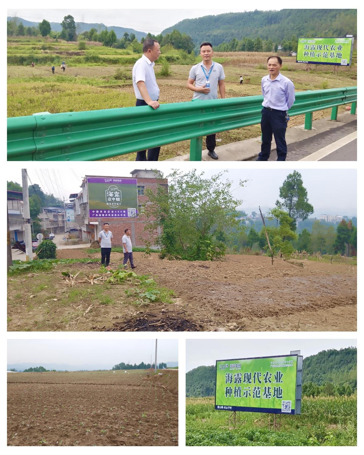 rb88随行版-rb88手机随行版登录入口