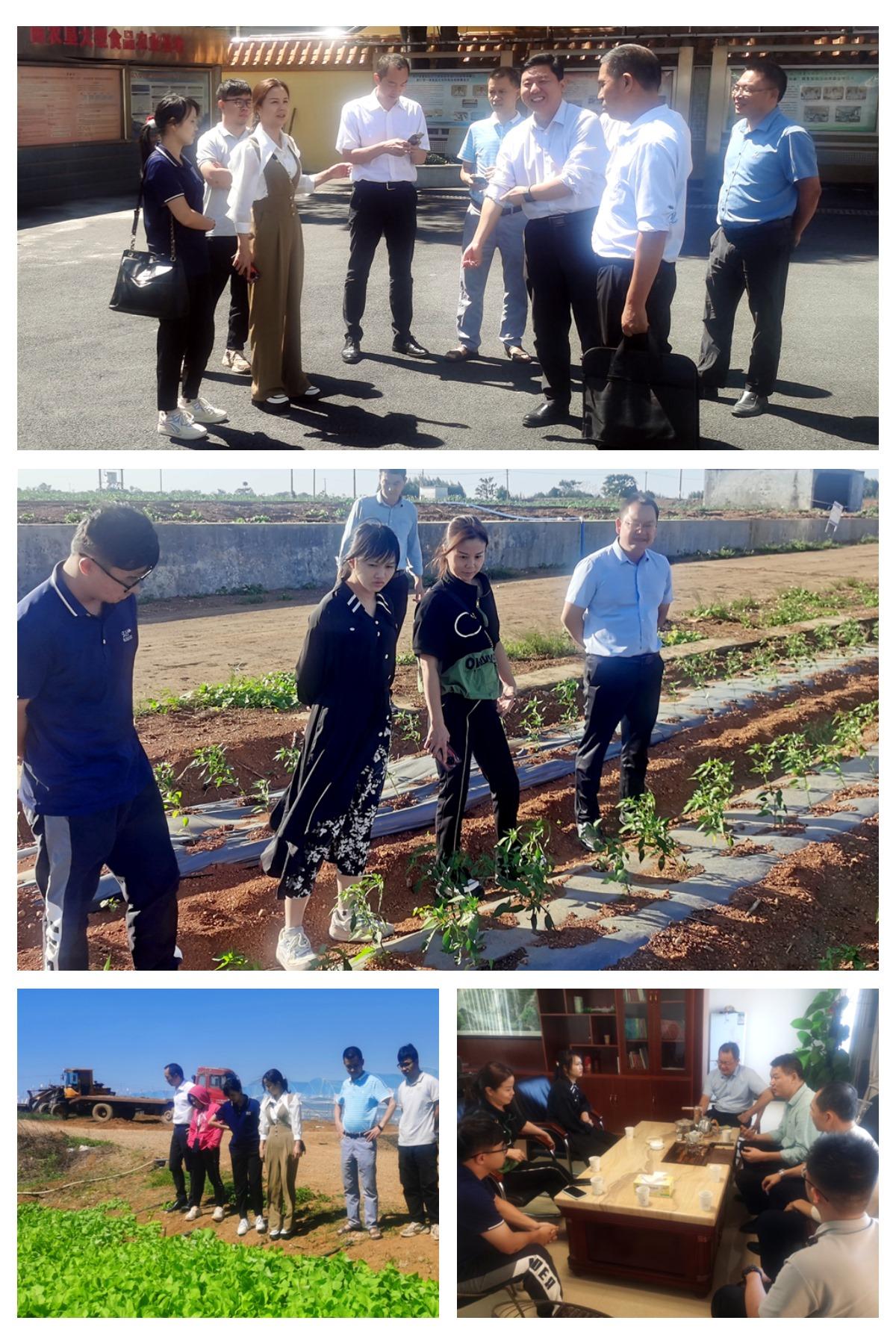 rb88随行版-rb88手机随行版登录入口