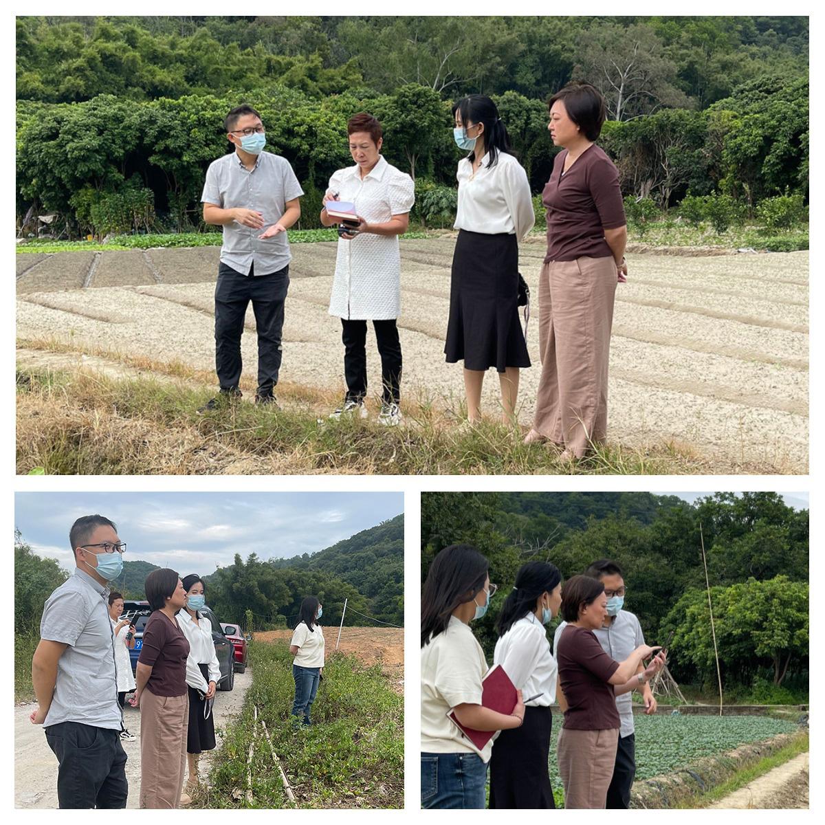 rb88随行版-rb88手机随行版登录入口