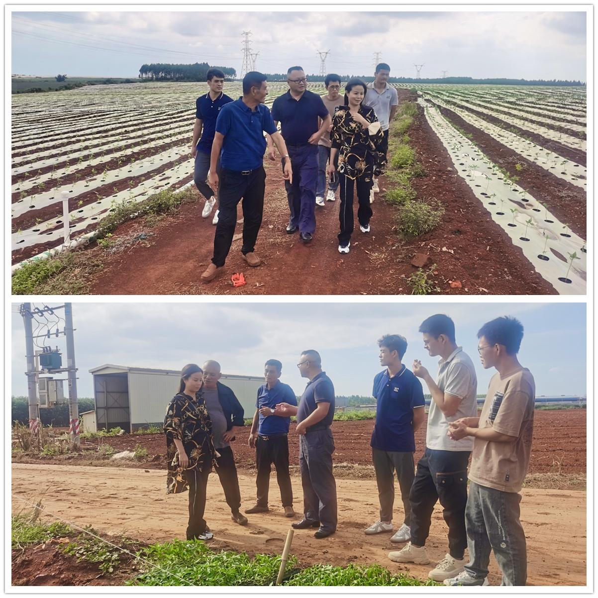 rb88随行版-rb88手机随行版登录入口