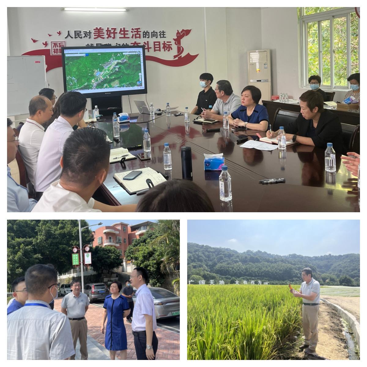 rb88随行版-rb88手机随行版登录入口