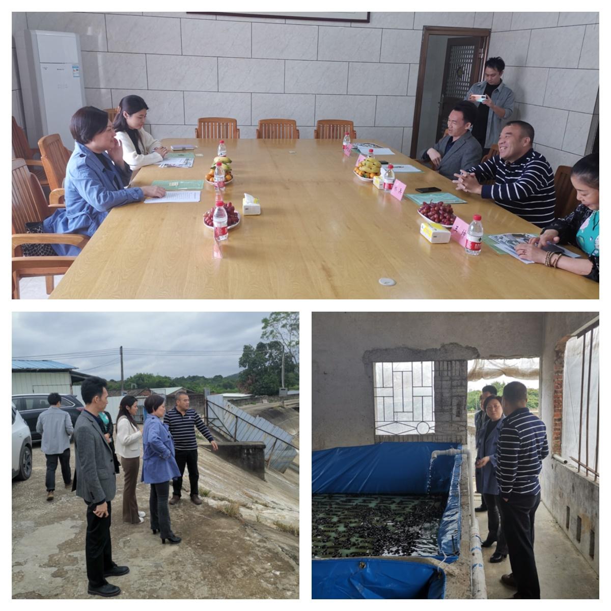 rb88随行版-rb88手机随行版登录入口