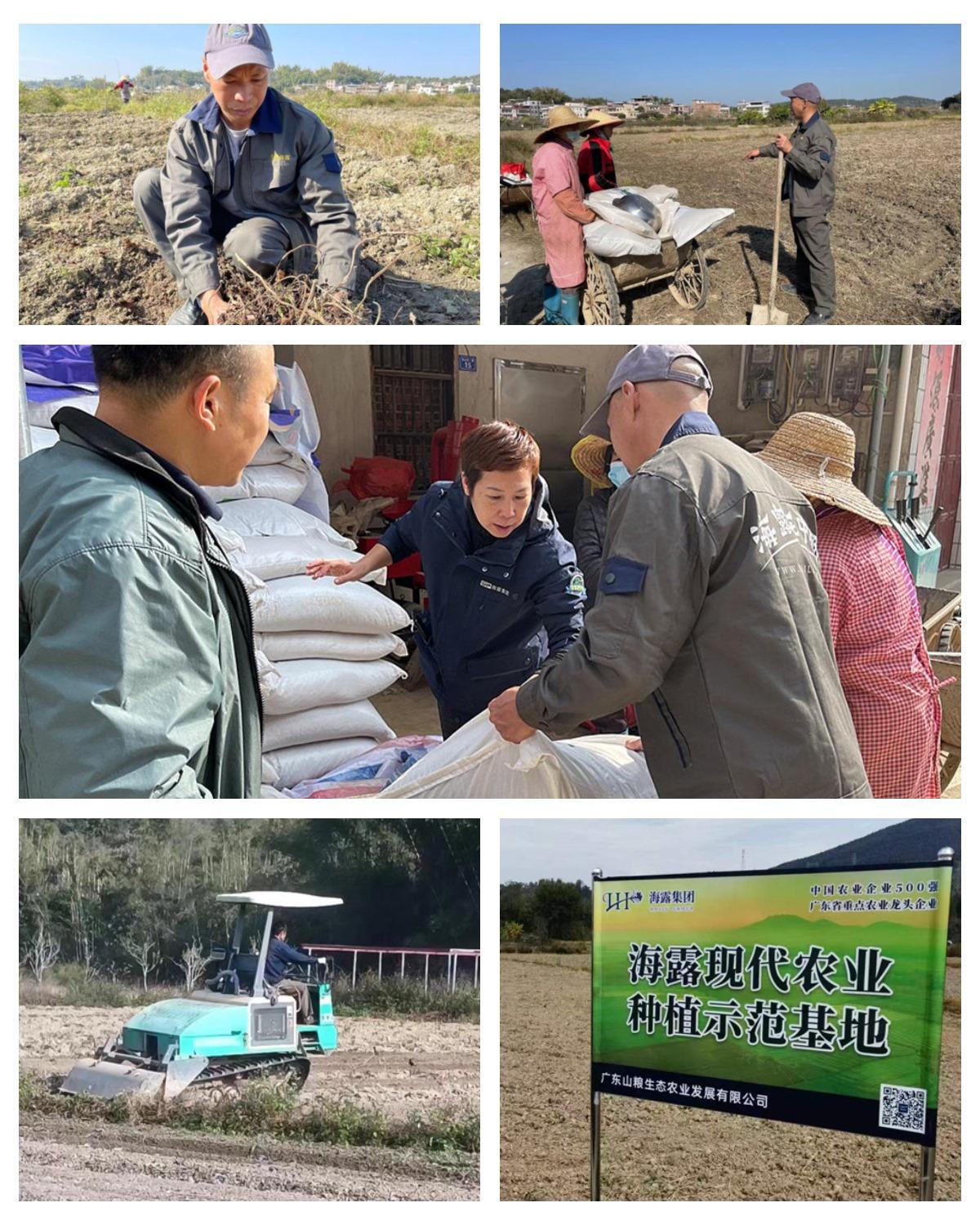 rb88随行版-rb88手机随行版登录入口