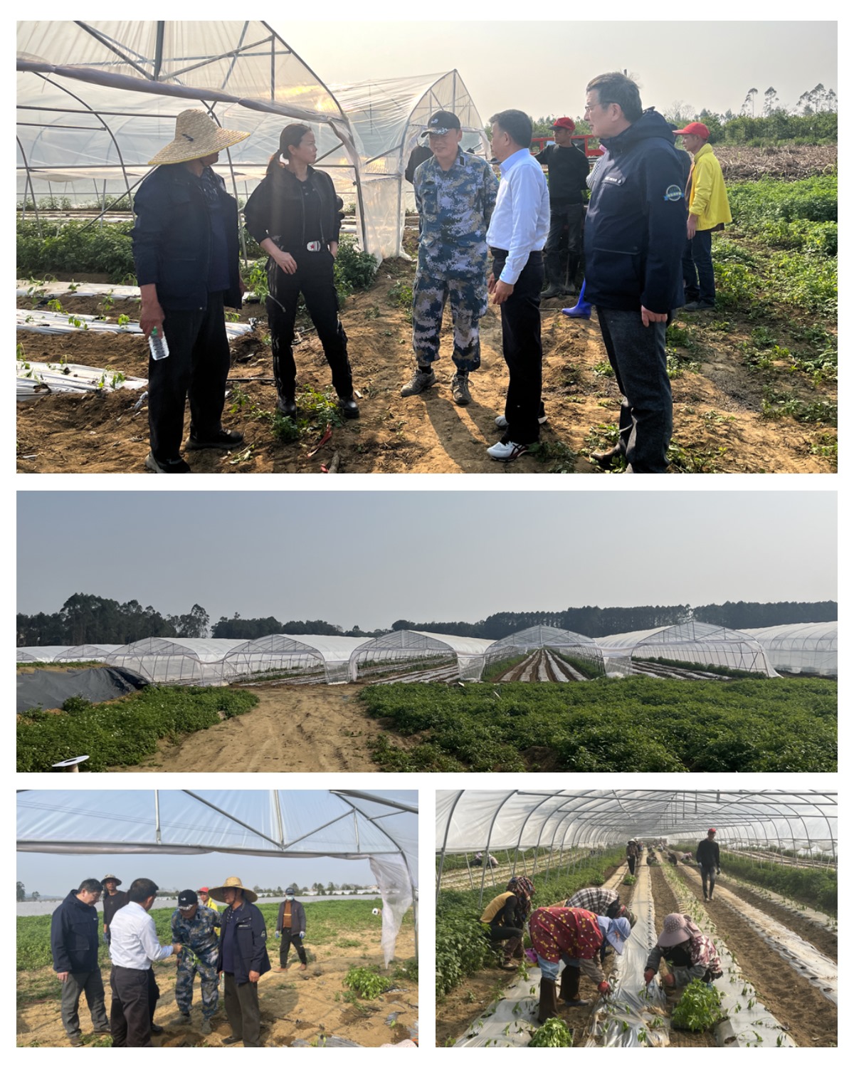 rb88随行版-rb88手机随行版登录入口