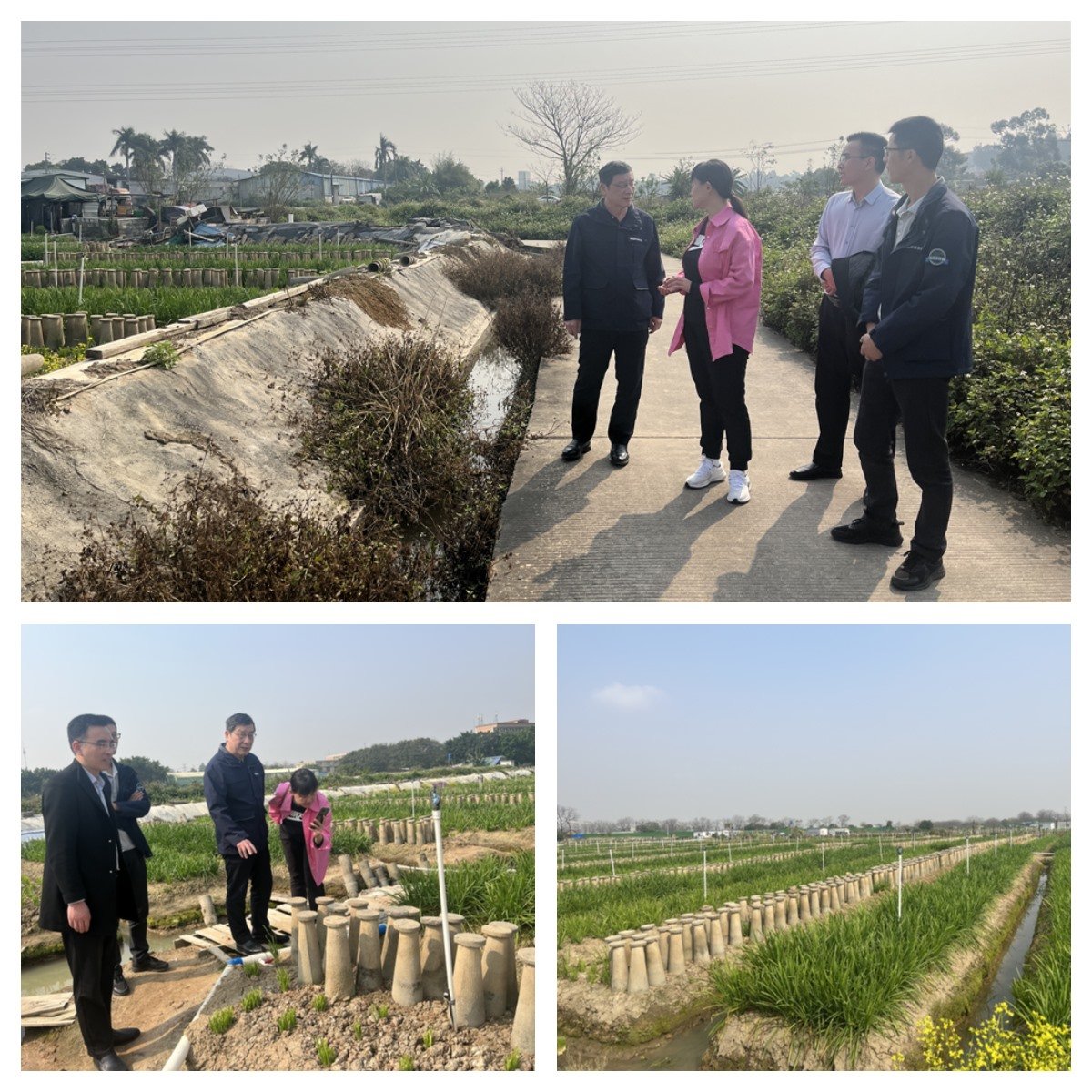 rb88随行版-rb88手机随行版登录入口