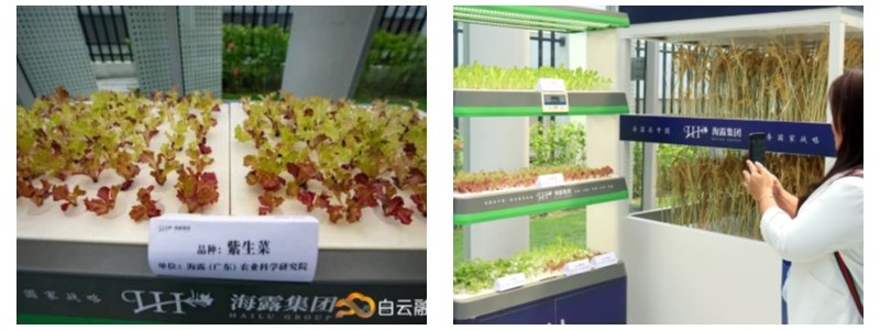 rb88随行版-rb88手机随行版登录入口