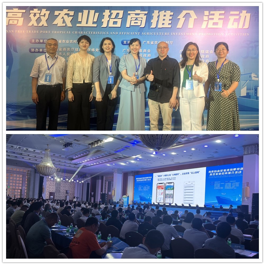 rb88随行版-rb88手机随行版登录入口