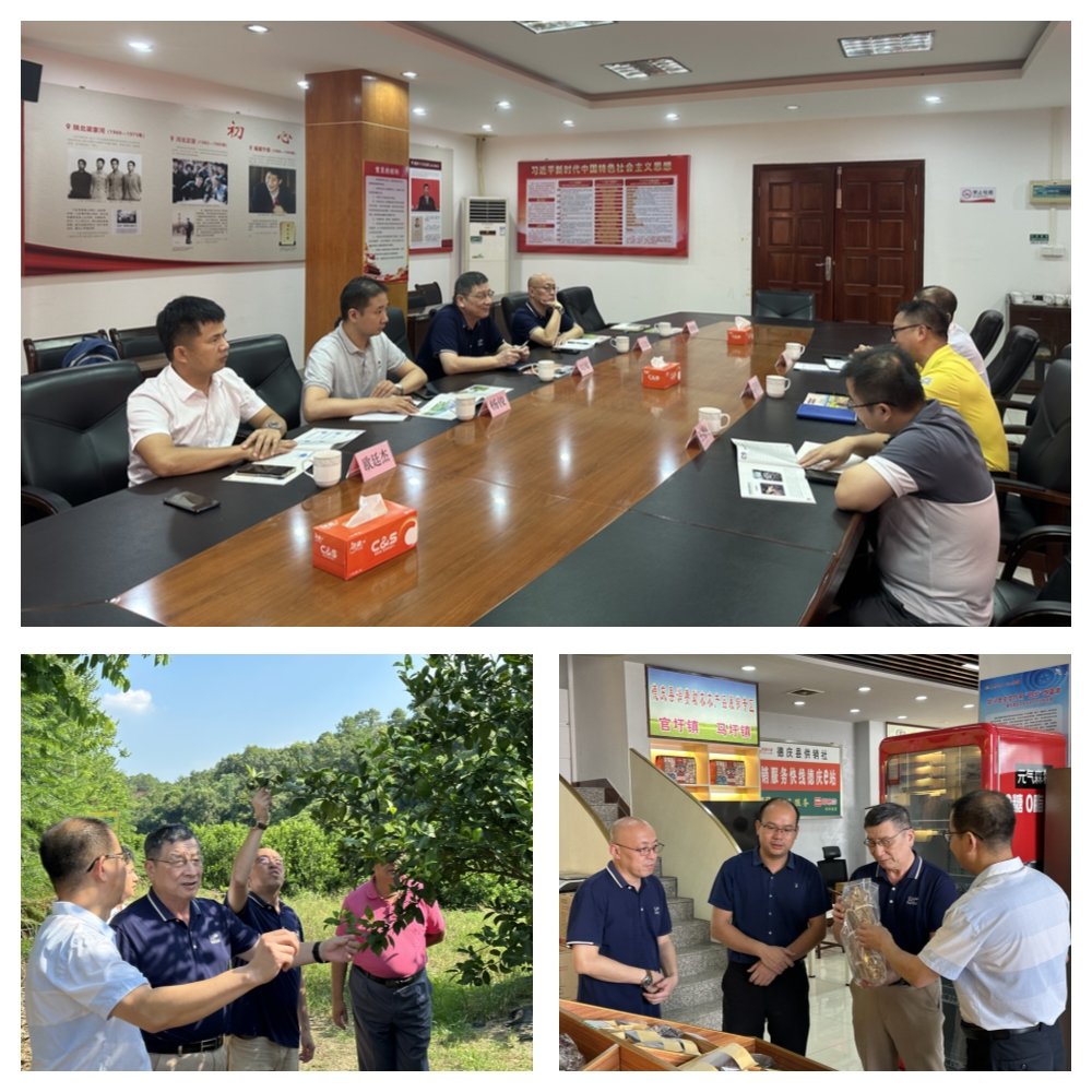 rb88随行版-rb88手机随行版登录入口