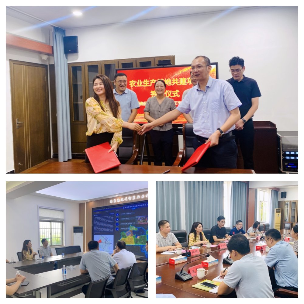 rb88随行版-rb88手机随行版登录入口