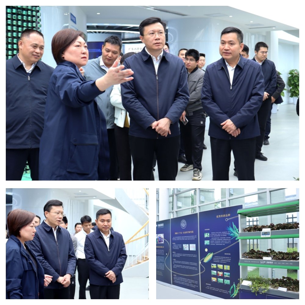 rb88随行版-rb88手机随行版登录入口