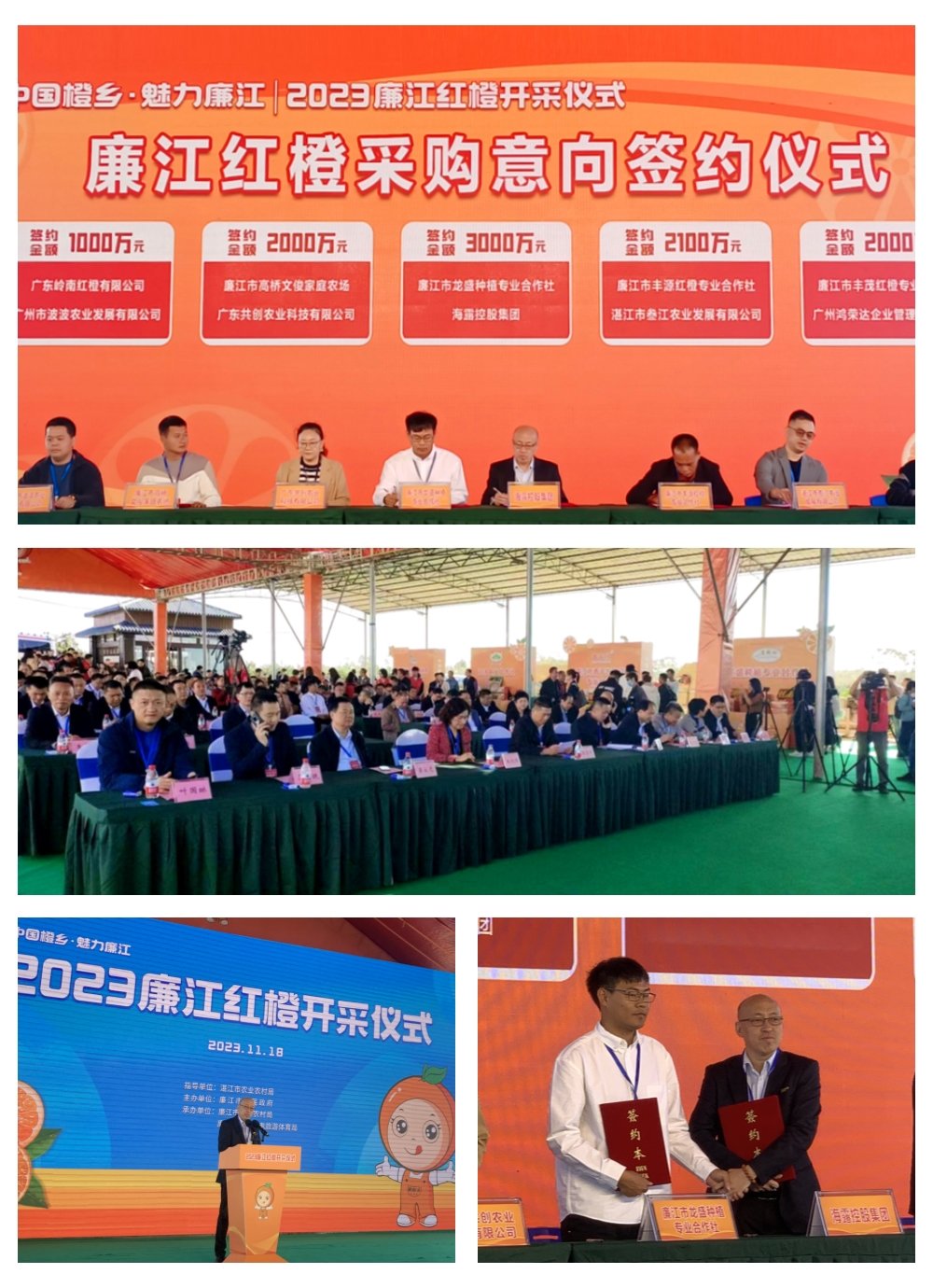 rb88随行版-rb88手机随行版登录入口