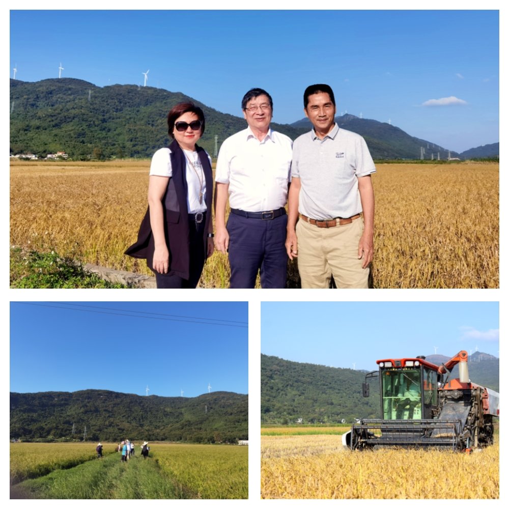 rb88随行版-rb88手机随行版登录入口