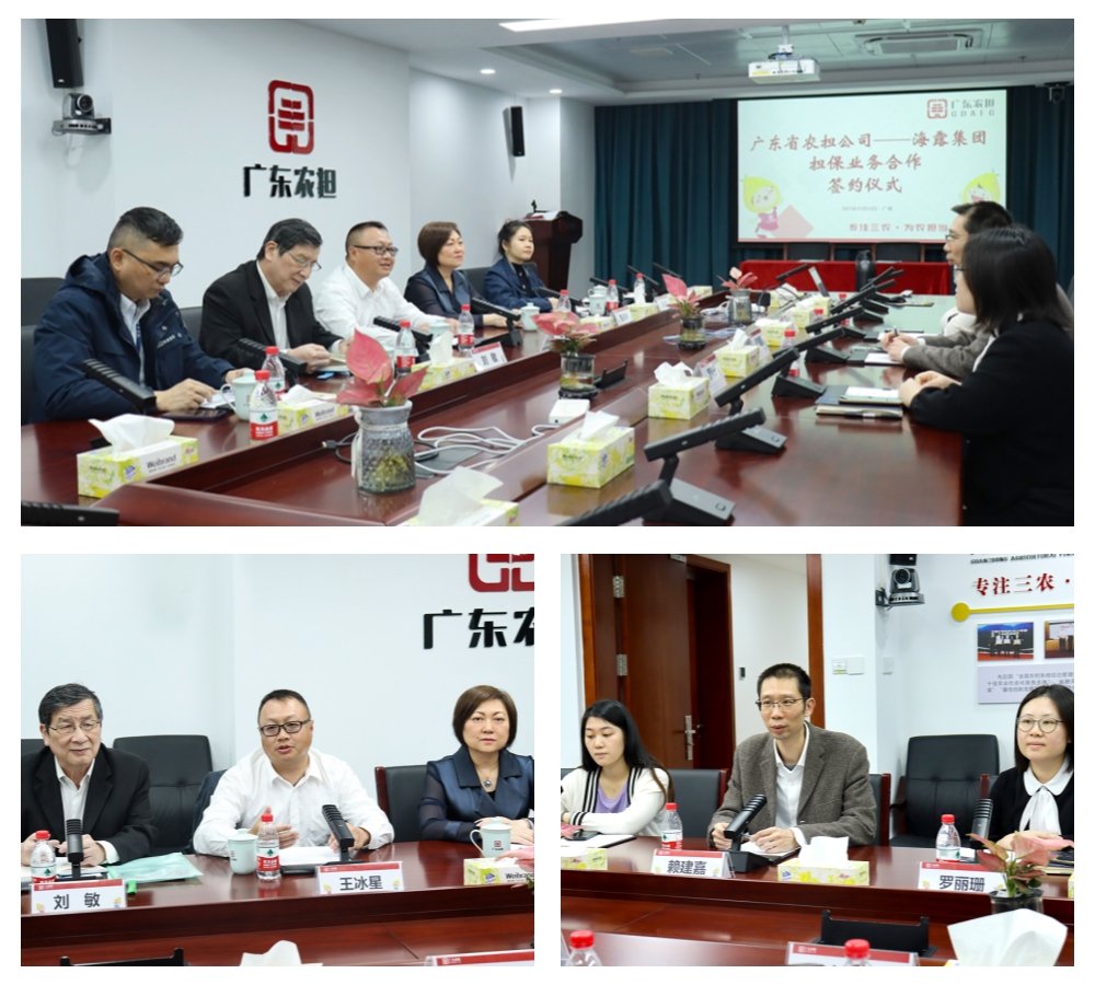 rb88随行版-rb88手机随行版登录入口