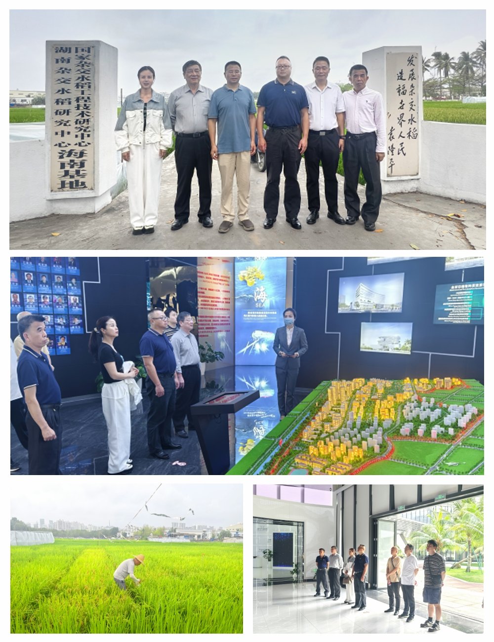 rb88随行版-rb88手机随行版登录入口