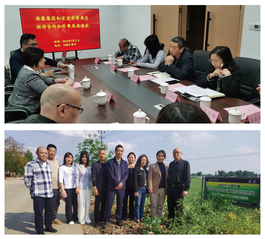 rb88随行版-rb88手机随行版登录入口