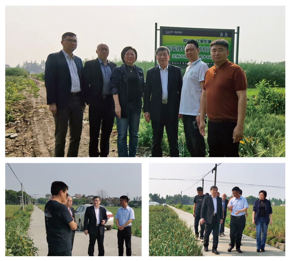 rb88随行版-rb88手机随行版登录入口