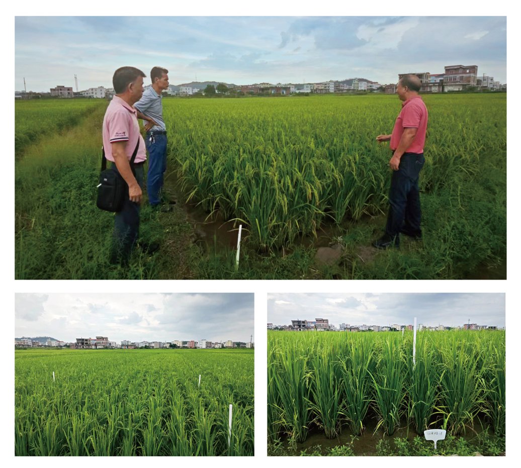 rb88随行版-rb88手机随行版登录入口