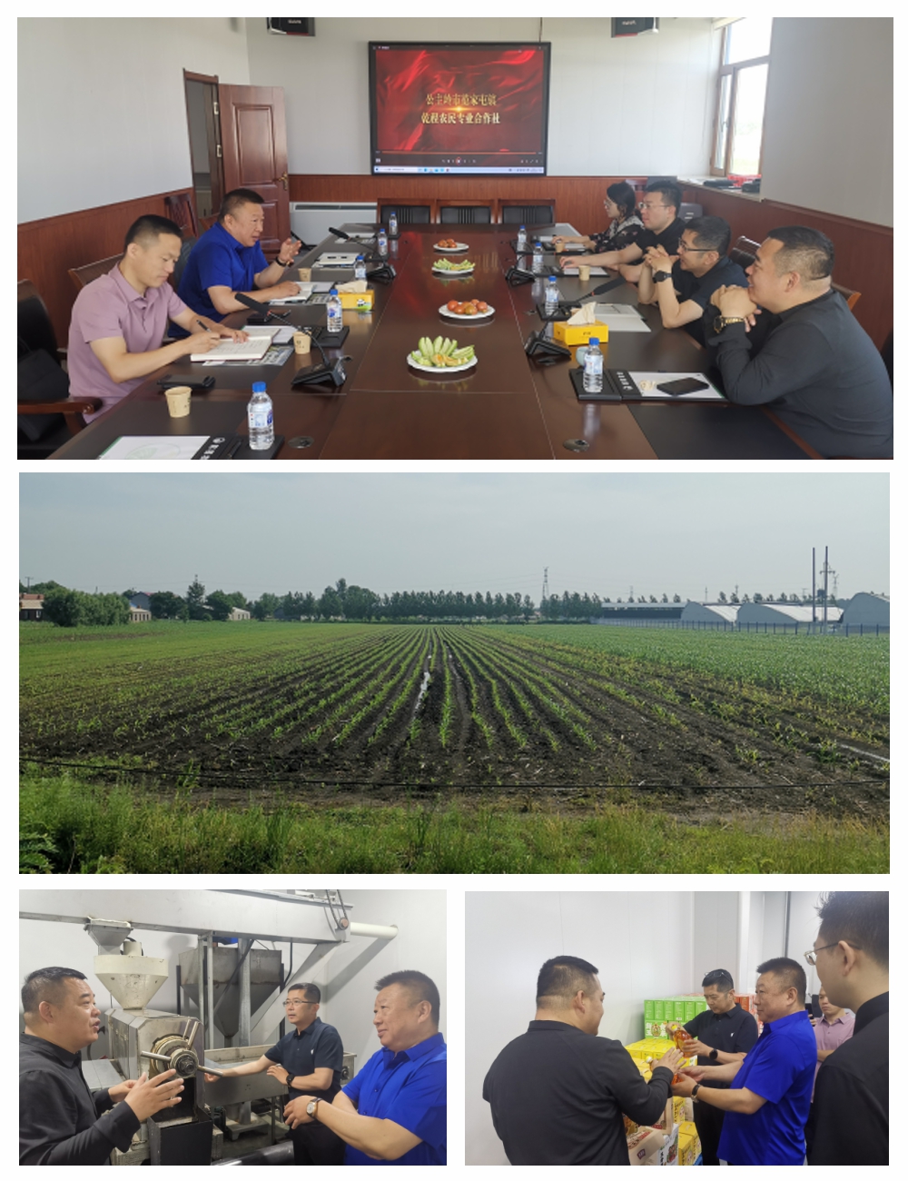 rb88随行版-rb88手机随行版登录入口