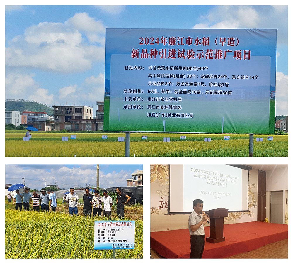 rb88随行版-rb88手机随行版登录入口