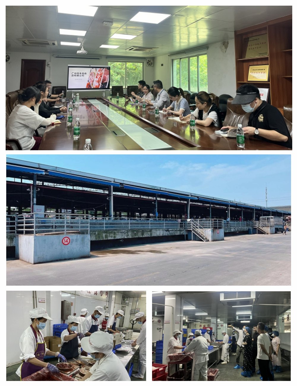 rb88随行版-rb88手机随行版登录入口