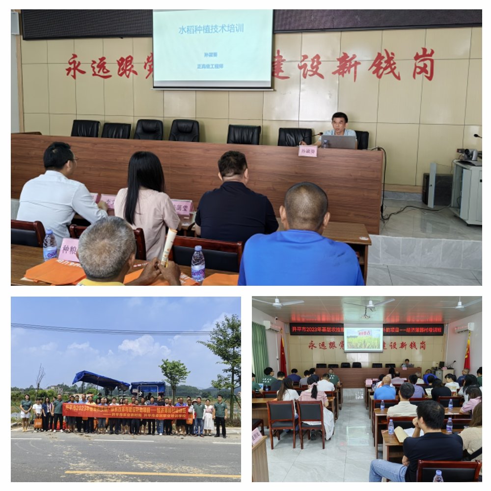 rb88随行版-rb88手机随行版登录入口