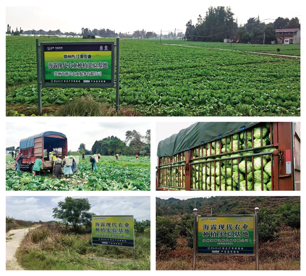 rb88随行版-rb88手机随行版登录入口