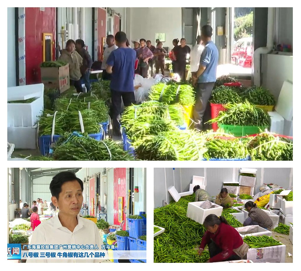 rb88随行版-rb88手机随行版登录入口