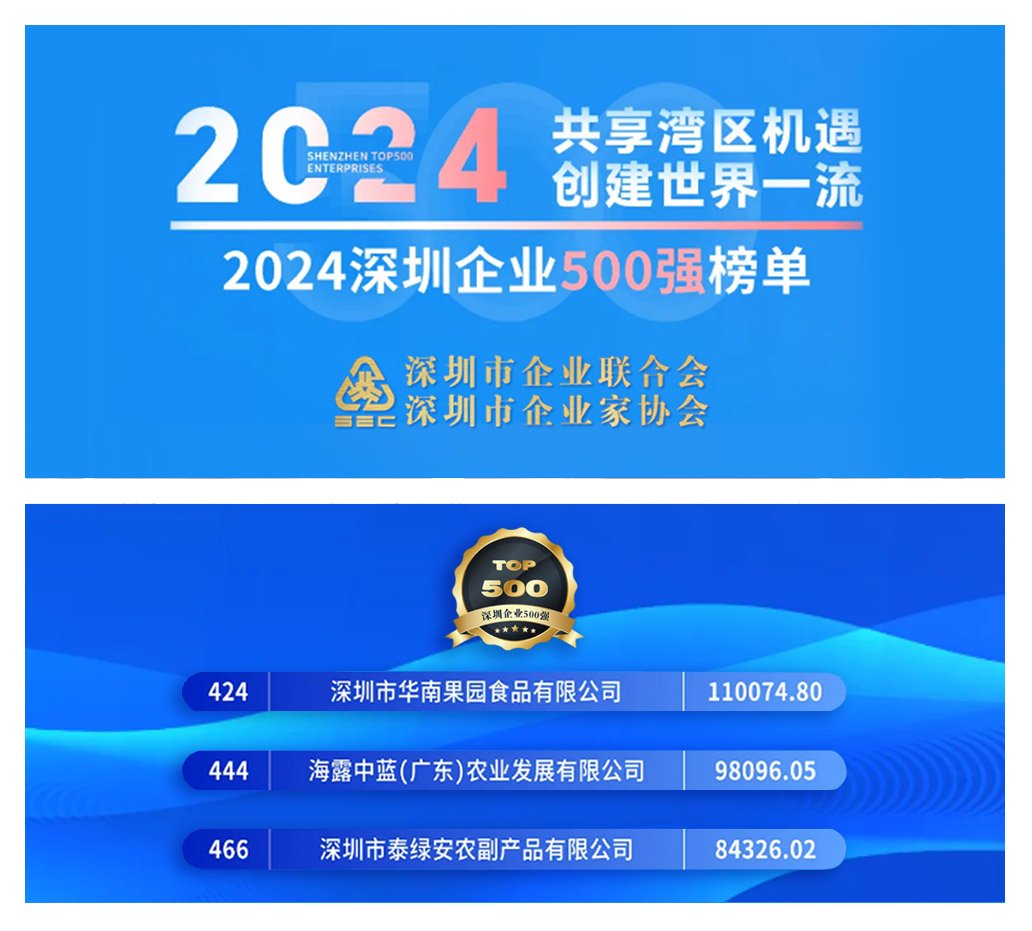 rb88随行版-rb88手机随行版登录入口