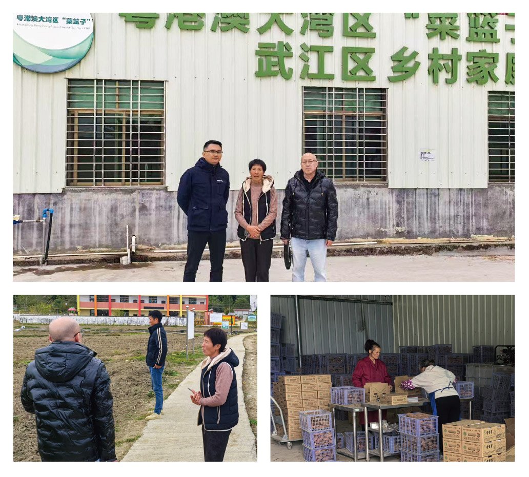 rb88随行版-rb88手机随行版登录入口