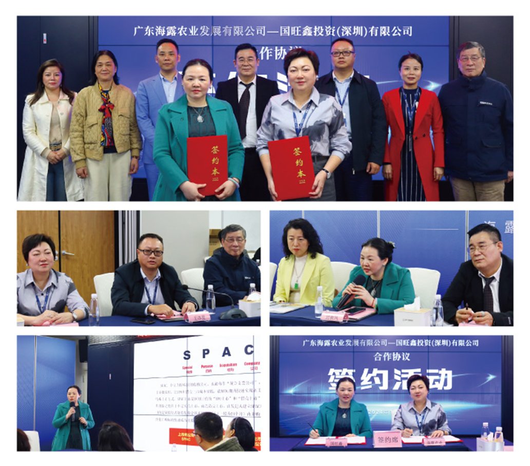 rb88随行版-rb88手机随行版登录入口