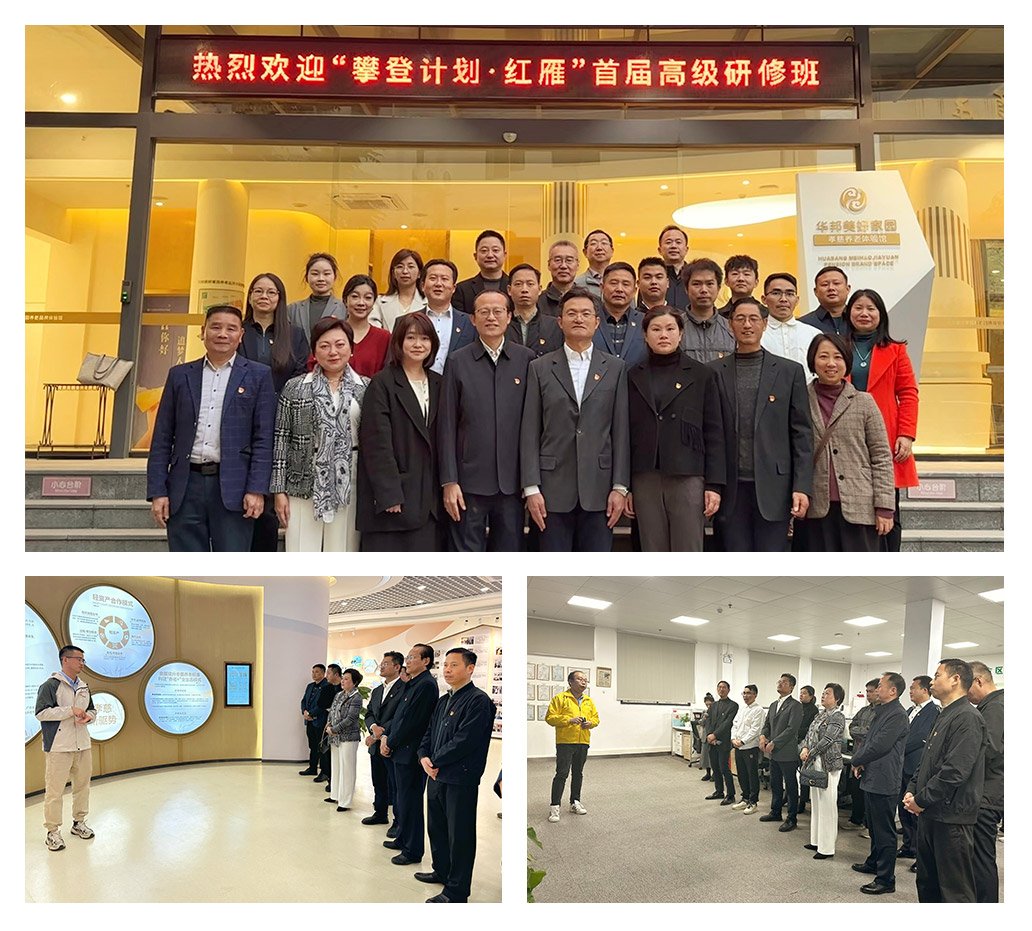 rb88随行版-rb88手机随行版登录入口