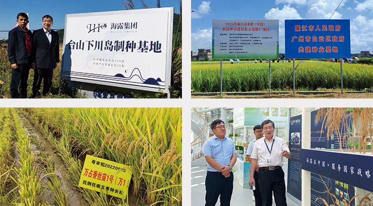 rb88随行版-rb88手机随行版登录入口