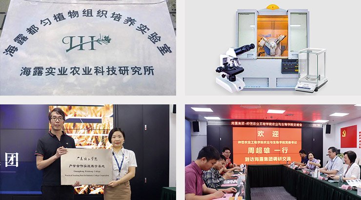 rb88随行版-rb88手机随行版登录入口